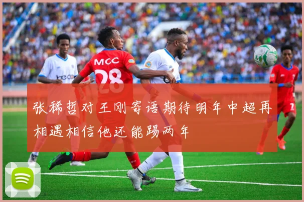 张稀哲对王刚寄语期待明年中超再相遇相信他还能踢两年