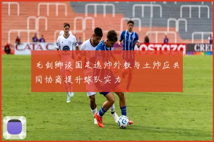 毛剑卿谈国足选帅外教与土帅应共同协商提升球队实力