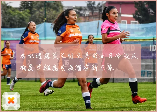 名记透露莫兰特交易截止日冷淡反响夏季雄鹿或成潜在新东家