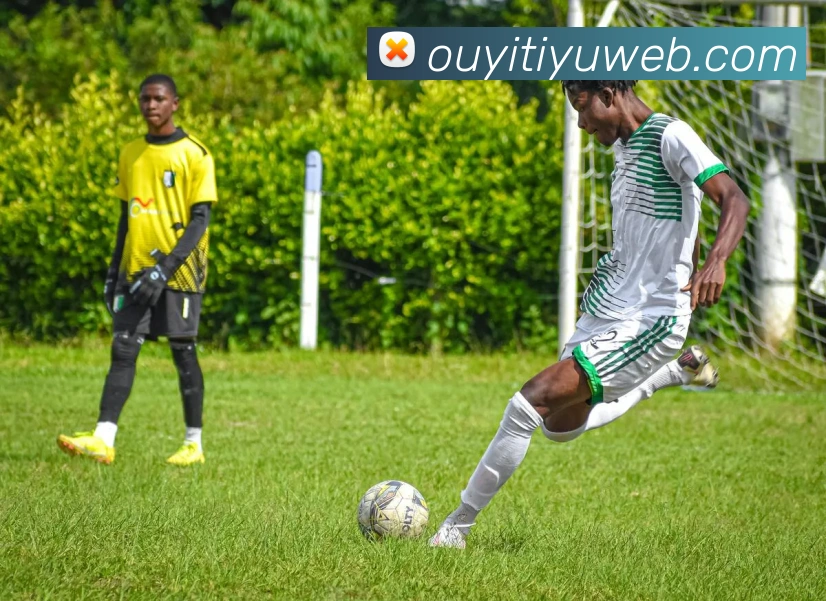 App Interface Preview