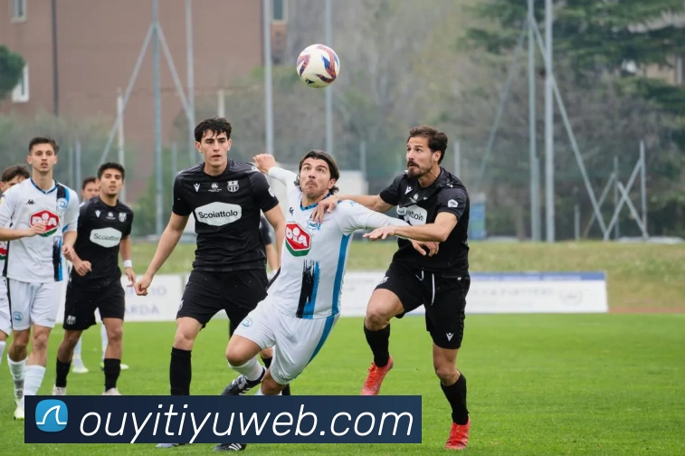 欧亿体育APP 封面图